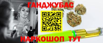 гидра Ставрополь
