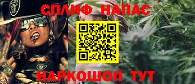 гидра Ставрополь