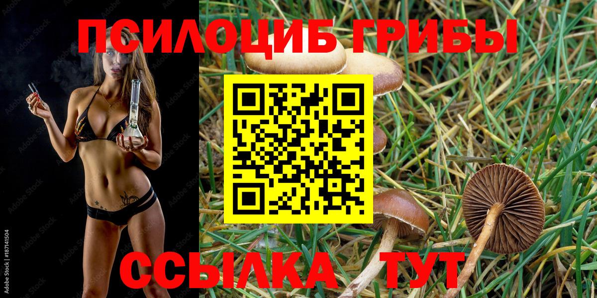 Нерюнгри  Псилоцибиновые грибы мицелий  Псилоцибиновые грибы ЛСД  Вход с VPN 
