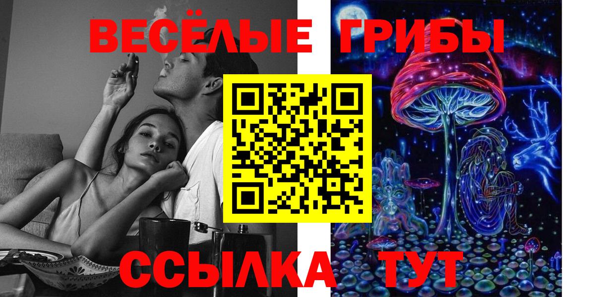 Галлюциногенные грибы Cubensis Нерюнгри
